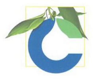 C logo