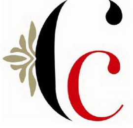 C logo