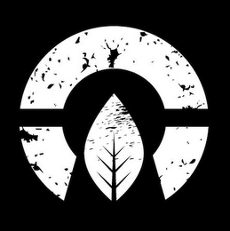 C logo