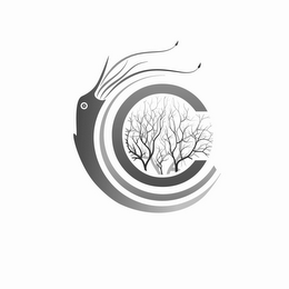 C logo