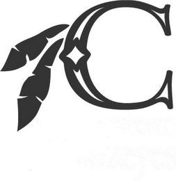 C logo