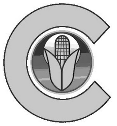 C logo