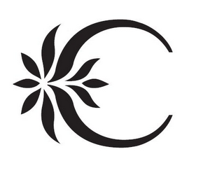 C logo