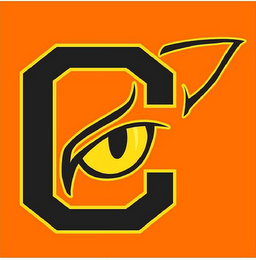 C logo