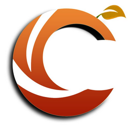 C logo