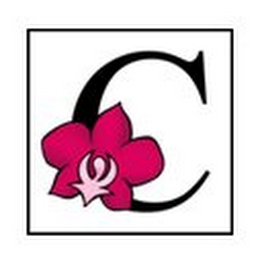 C logo