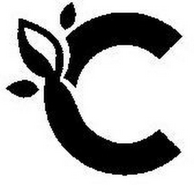 C logo