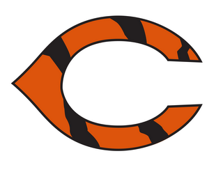C logo
