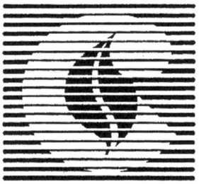 C logo
