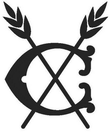 C logo