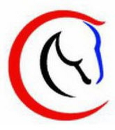 C logo