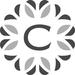 C logo