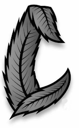 C logo
