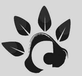 C logo
