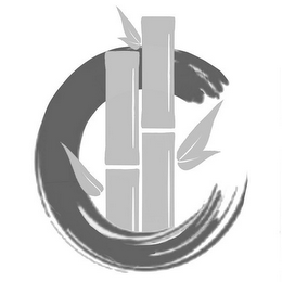 C logo