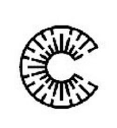 C logo