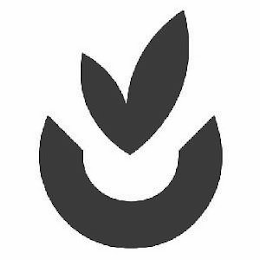 C logo