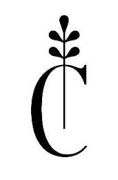 C logo