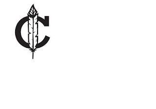 C logo