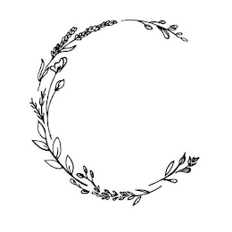 C logo