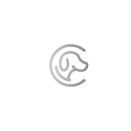 C logo