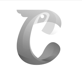 C logo