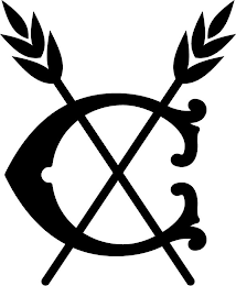 C logo