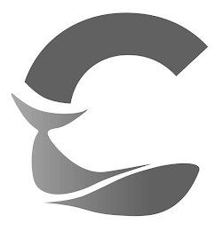C logo