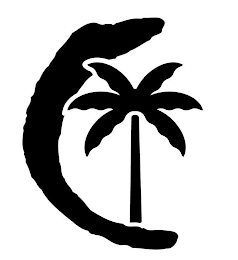 C logo