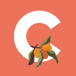 C logo