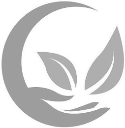 C logo
