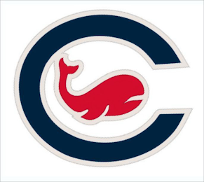 C logo