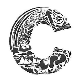 C logo