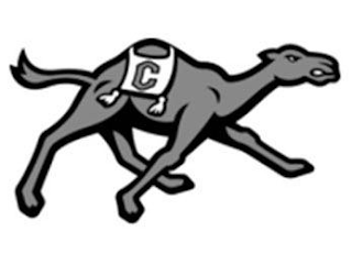 C logo