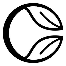 C logo