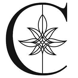 C logo