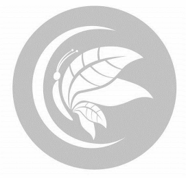 C logo