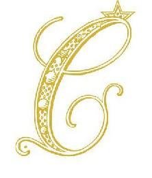 C logo