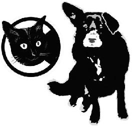 C logo
