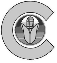 C logo