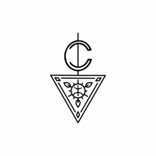 C logo