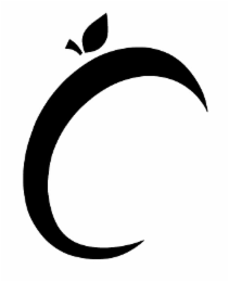 C logo