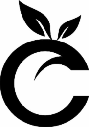 C logo