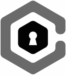 C logo