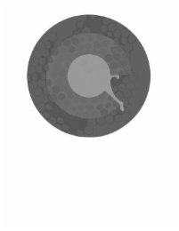 C logo