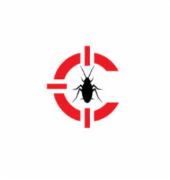 C logo