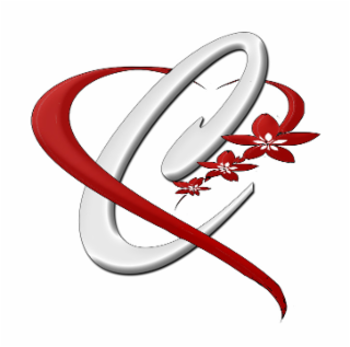 C logo
