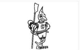 C logo