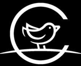 C logo