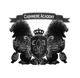 C A CASHMERE ACADEMY logo